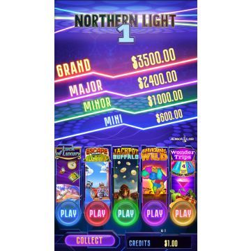 Northern Light 1 by Jenka Lab-6